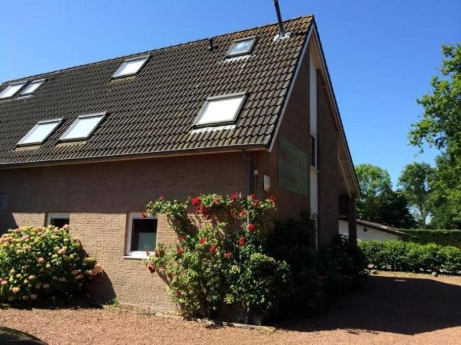 Boszicht 3 Appartement In Oostkapelle Dış mekan fotoğraf