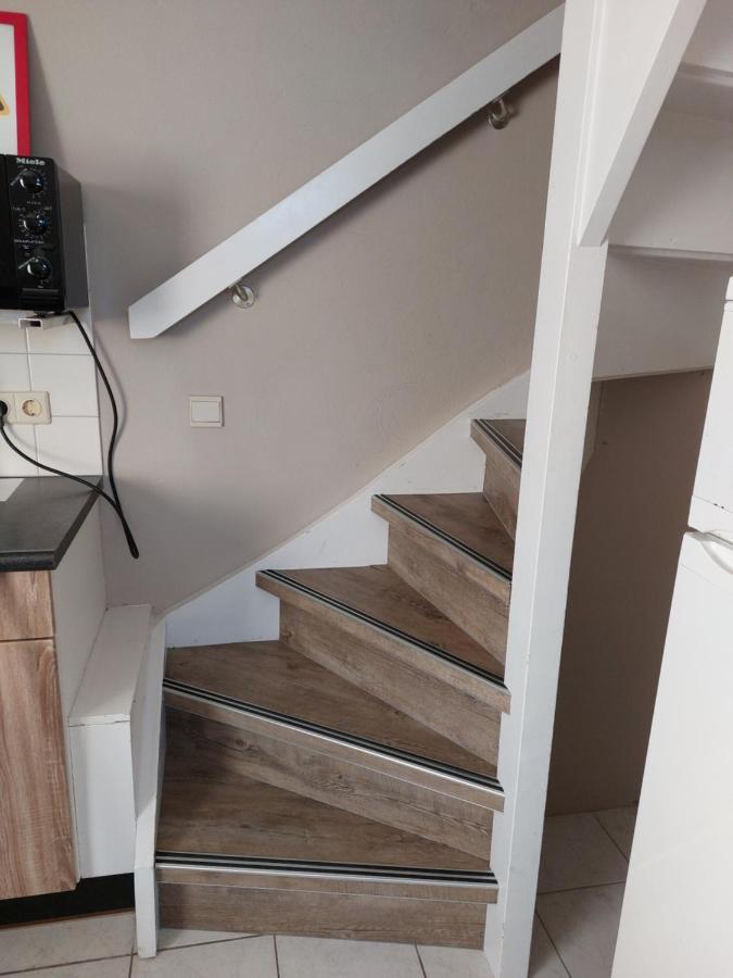 Boszicht 3 Appartement In Oostkapelle Dış mekan fotoğraf